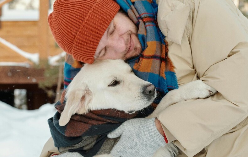 Avis à la population