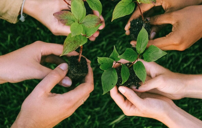 Distribution d'arbres