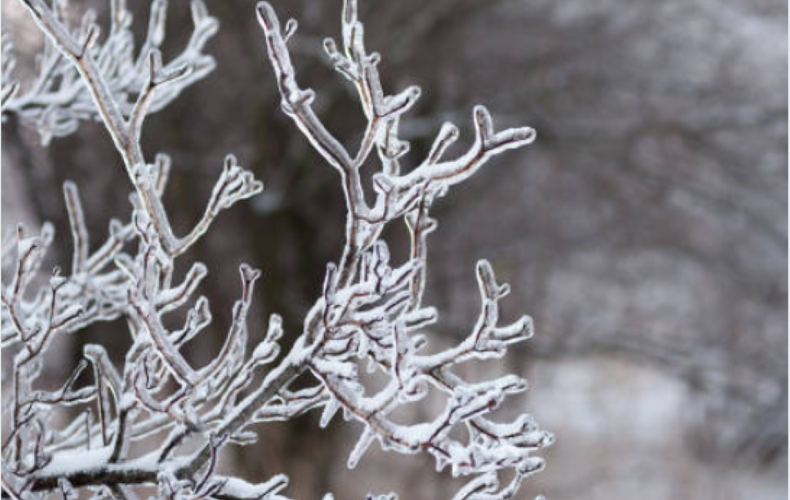 Avis à la population