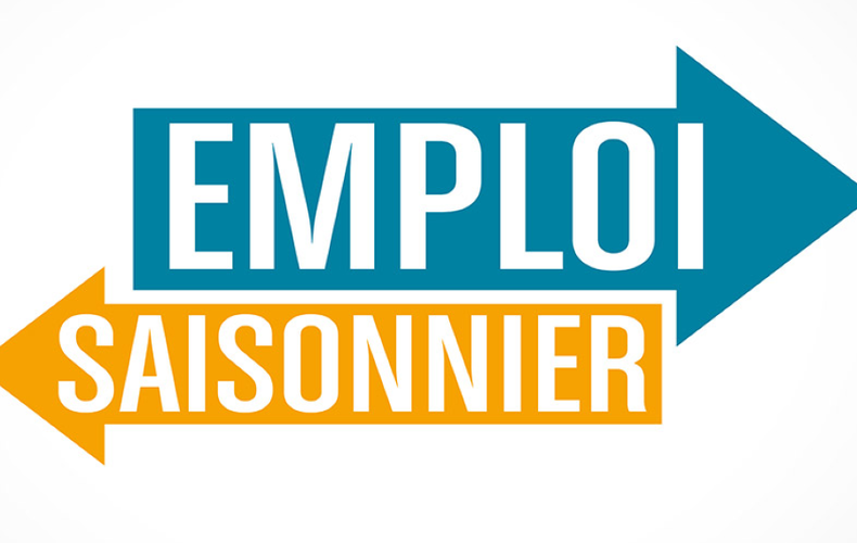 Offres d'emploi